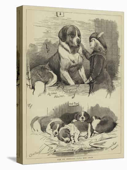 The St Bernard Club Dog Show-Charles Burton Barber-Premier Image Canvas
