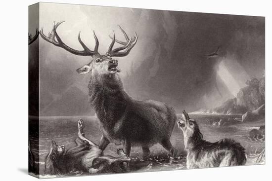 The Stag at Bay-Edwin Henry Landseer-Premier Image Canvas