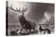 The Stag at Bay-Edwin Henry Landseer-Premier Image Canvas