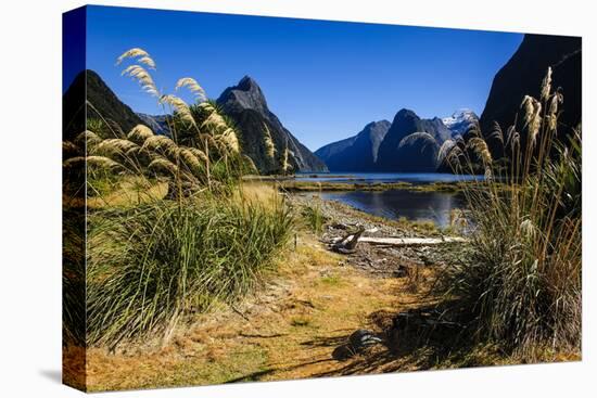The Steep Cliffs of Milford Sound-Michael-Premier Image Canvas