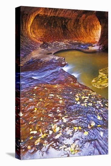 The Subway Along North Creek, Zion National Park, Utah, Usa-Russ Bishop-Premier Image Canvas