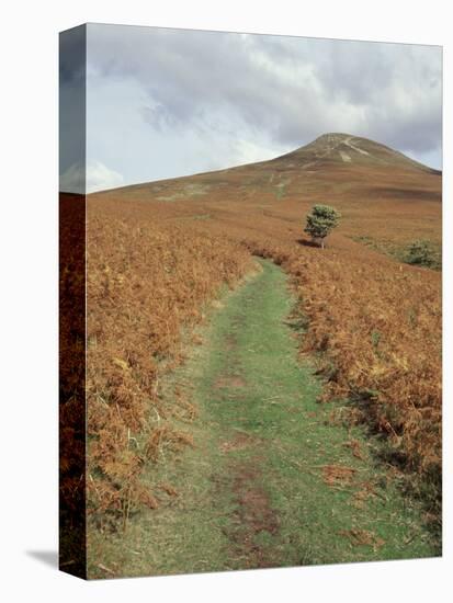 The Sugar Loaf, in Autumn, Black Mountains Near Abergavenny, Monmouthshire, Wales-David Hunter-Premier Image Canvas