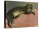 The Summer, Cat on a Railing; L'Ete, Chat Sur Une Balustrade, 1909-Théophile Alexandre Steinlen-Premier Image Canvas