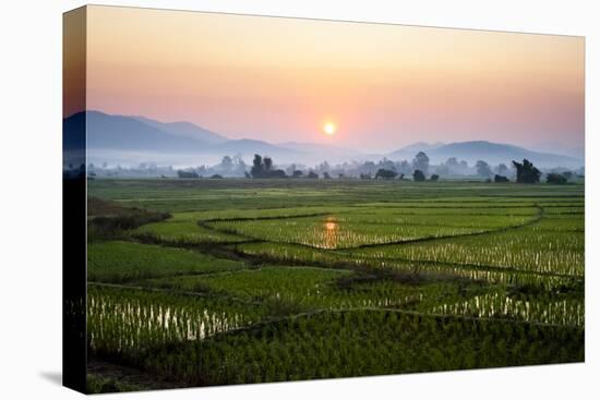 The Sun Sets Behind Foggy Hills and Expansive Rice Paddy Fields Near Chiang Mai, Thailand-Dan Holz-Premier Image Canvas