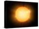 The Sun, X-ray Image-Detlev Van Ravenswaay-Premier Image Canvas