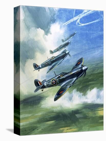 The Supermarine Spitfire Mark Ix-Wilf Hardy-Premier Image Canvas