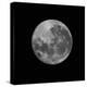 The Supermoon of March 19, 2011-Stocktrek Images-Premier Image Canvas