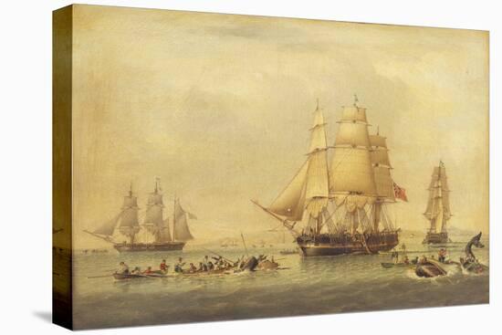 The 'Swan' and 'Isabella' Whaling in the Arctic-John of Hull Ward-Premier Image Canvas