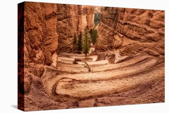 The Switchbacks-Danny Head-Premier Image Canvas