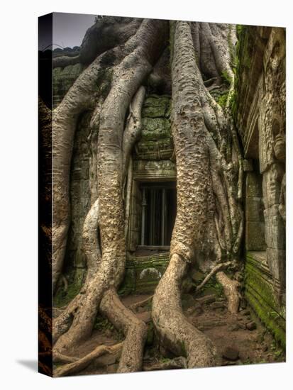 The Ta Prohm Temple Located at Angkor in Cambodia-Kyle Hammons-Premier Image Canvas