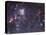The Tarantula Nebula-Stocktrek Images-Premier Image Canvas