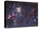 The Tarantula Nebula-Stocktrek Images-Premier Image Canvas