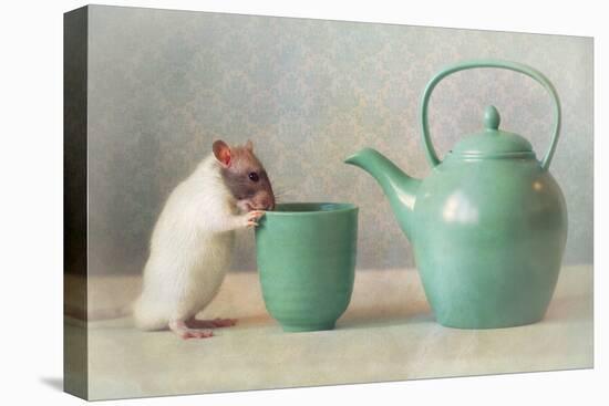 The Teapot-Ellen Van Deelen-Premier Image Canvas