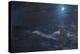 The Tell Tale Moon Board-Vincent Alexander Booth-Premier Image Canvas