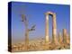 The Temple of Hercules, Amman, Jordan, Middle East-Neale Clarke-Premier Image Canvas