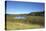 The Therbrennersee Lake on the Western Beach of Darss Peninsula-Uwe Steffens-Premier Image Canvas