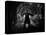 The Third Man, Orson Welles, 1949-null-Stretched Canvas