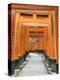 The ThoUSAnd Gates at Fushimi Inari Taisha, Kyoto, Japan-Rob Tilley-Premier Image Canvas