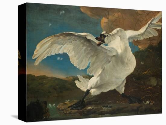 The Threatened Swan, before 1652-Jan Asselijn-Premier Image Canvas
