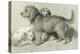 The Three Dogs-Edwin Henry Landseer-Premier Image Canvas