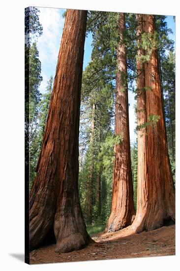 The Three Graces Yosemite-null-Stretched Canvas