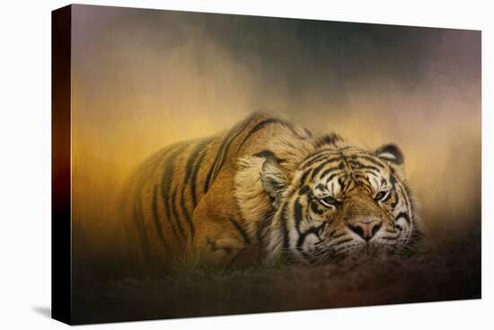 The Tiger Awakens-Jai Johnson-Premier Image Canvas