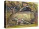 The Timber Wain, C.1833-34 (W/C and Gouache on Paper)-Samuel Palmer-Premier Image Canvas