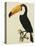 The Toco Toco Toucan (Ramphastos Toco)-Jacques Barraband-Premier Image Canvas