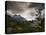 The Torres Del Paine Mountains on a Cloudy Day-Alex Saberi-Premier Image Canvas