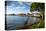 The Town of Lahaina, Maui, Hawaii, United States of America, Pacific-Michael-Premier Image Canvas