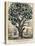 The Tree of Intemperance, Published by N. Currier, New York, 1849-Currier & Ives-Premier Image Canvas