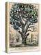 The Tree of Intemperance, Published by N. Currier, New York, 1849-Currier & Ives-Premier Image Canvas