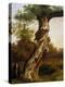 The Tree-Filippo Palizzi-Premier Image Canvas