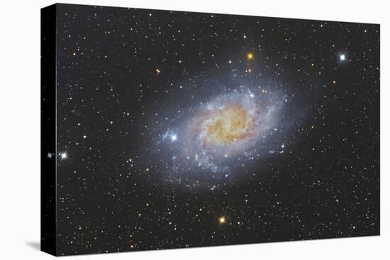 The Triangulum Galaxy, also known as Messier 33-null-Premier Image Canvas