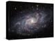 The Triangulum Galaxy-Stocktrek Images-Premier Image Canvas