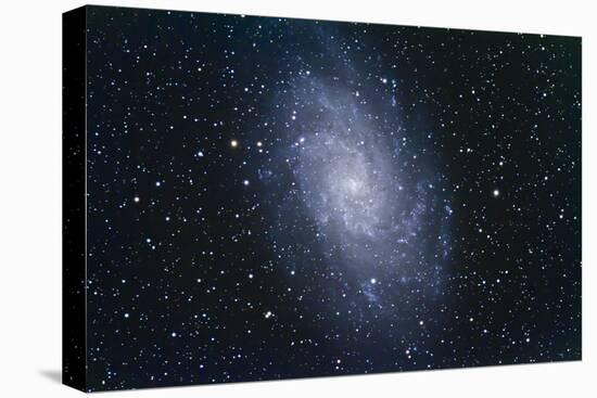 The Triangulum Galaxy-null-Premier Image Canvas