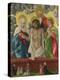 The Trinity and Mystic Pietà, 1512-Hans Baldung-Premier Image Canvas