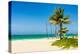 The Tropical Beach of Varadero in Cuba with Coconut Palms and Colorful Sailing Boats-Kamira-Premier Image Canvas