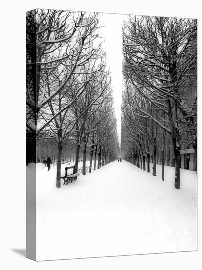 The Tuileries Garden under the snow, Paris-Michel Setboun-Stretched Canvas