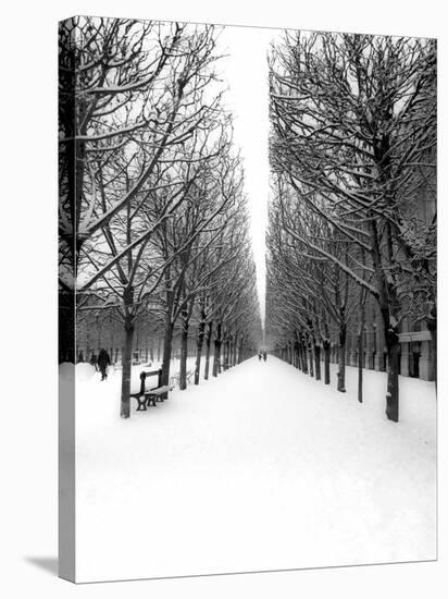 The Tuileries Garden under the snow, Paris-Michel Setboun-Stretched Canvas