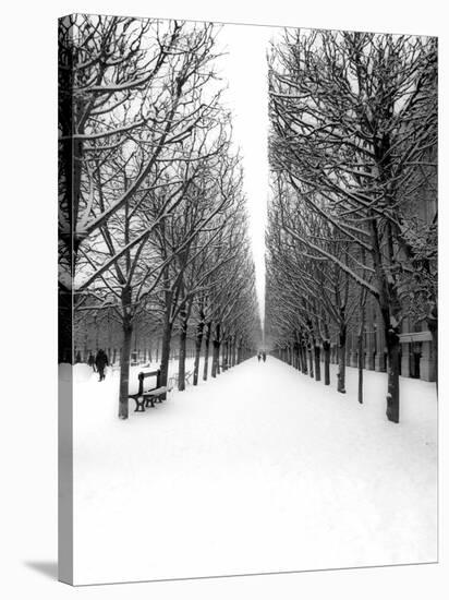 The Tuileries Garden under the snow, Paris-Michel Setboun-Stretched Canvas