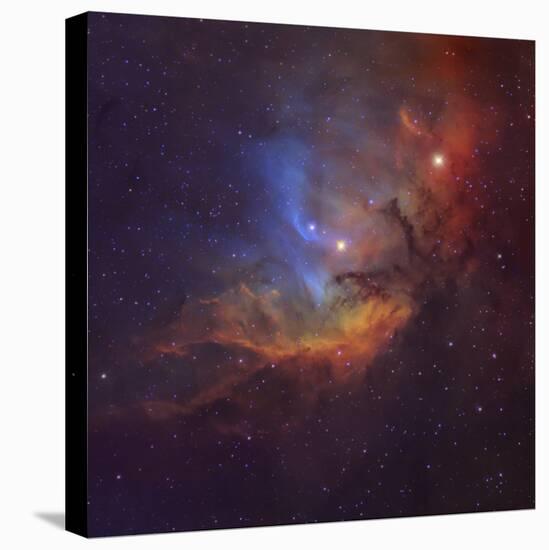 The Tulip Nebula (Sh2-101) in Cygnus-Stocktrek Images-Premier Image Canvas