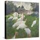 The Turkeys at the Chateau De Rottembourg, Montgeron, 1877-Claude Monet-Premier Image Canvas