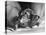 The Two Headed Turtle Named Super Diamond-Andreas Feininger-Premier Image Canvas