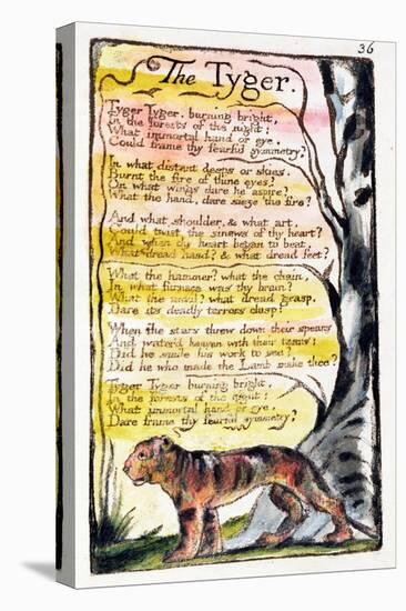 The Tyger', Plate 36 (Bentley 42) from 'Songs of Innocence and of Experience' (Bentley Copy L)-William Blake-Premier Image Canvas