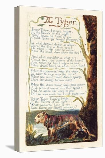 'The Tyger', Plate 41 from 'Songs of Experience', 1794-William Blake-Premier Image Canvas