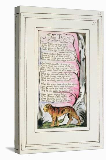 The Tyger: Plate 43 from 'Songs of Innocence and of Experience' C.1802-08-William Blake-Premier Image Canvas