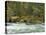 The Umpqua River, Oregon, USA-William Sutton-Premier Image Canvas