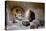 The Underground of the Flavian Amphitheater, Pozzuoli, Naples-Carlo Morucchio-Premier Image Canvas