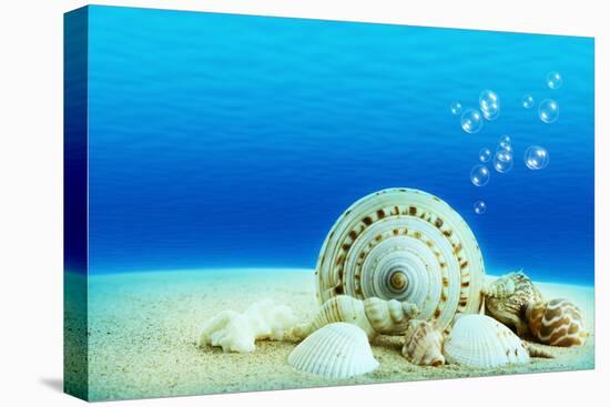 The Underwater World,Seashells with Underwater Background.-Liang Zhang-Premier Image Canvas